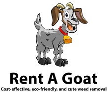 Rent A Goat from Shark Tank