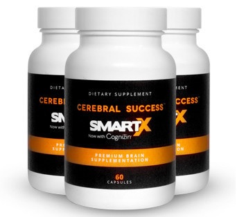 Cerebral Success Website